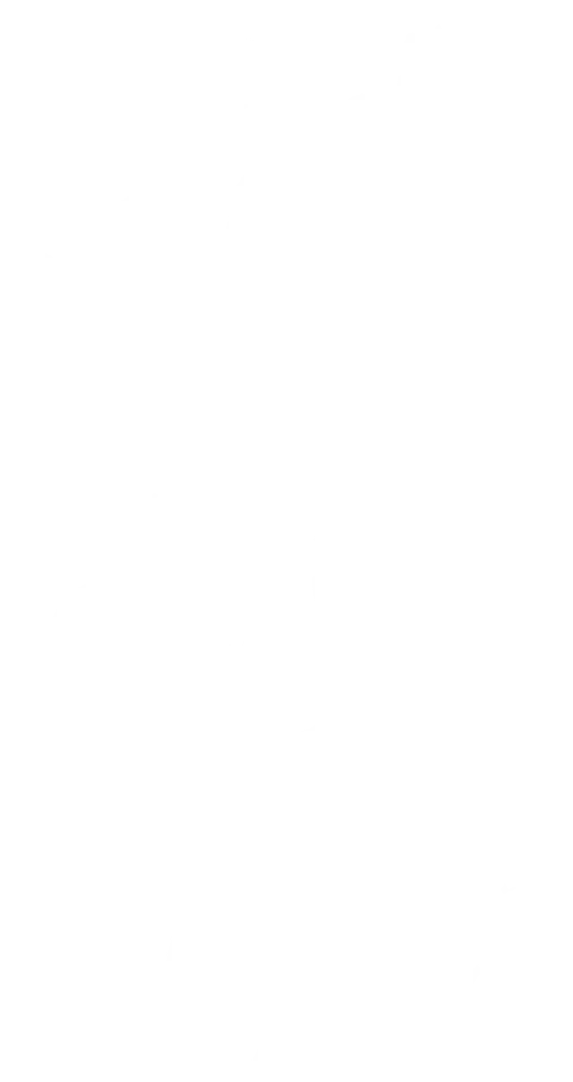 Steam